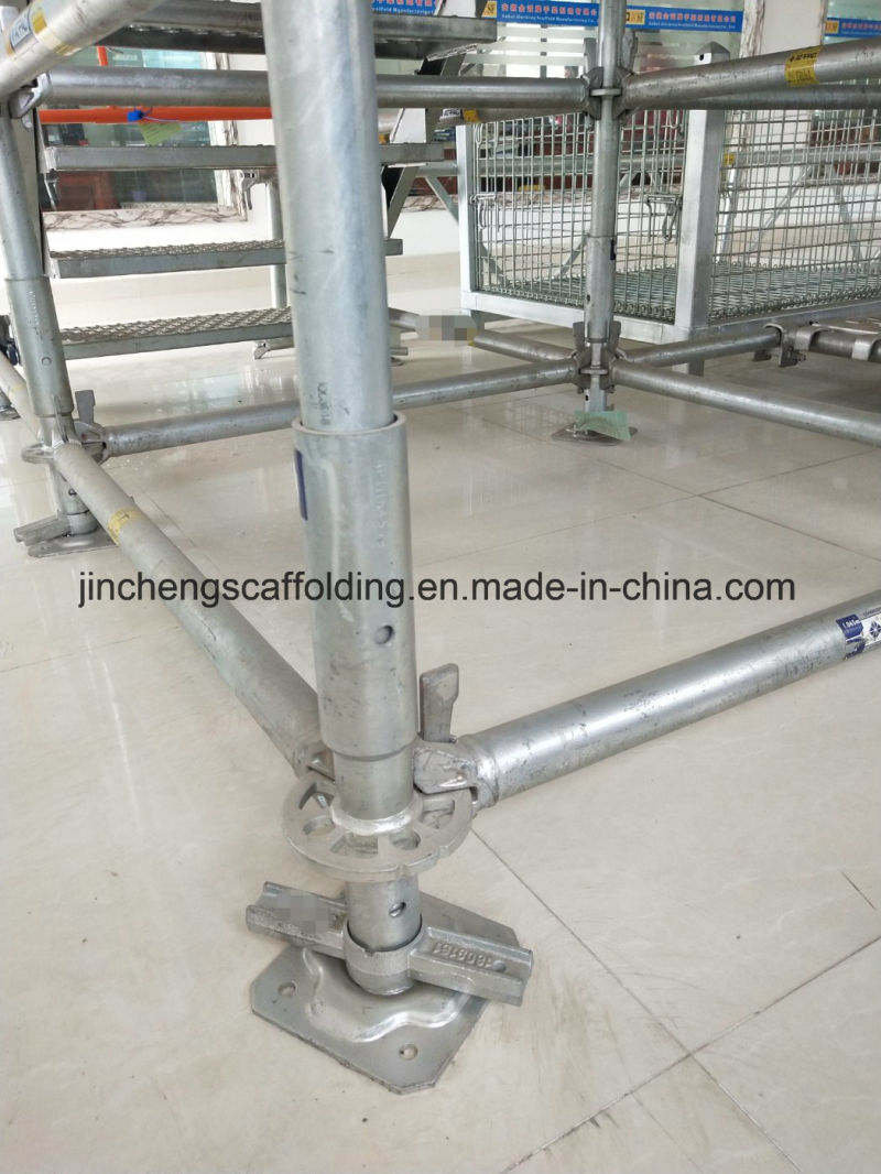 Adjustable Screw Jack Base Jack in Scaffold Buliding Material