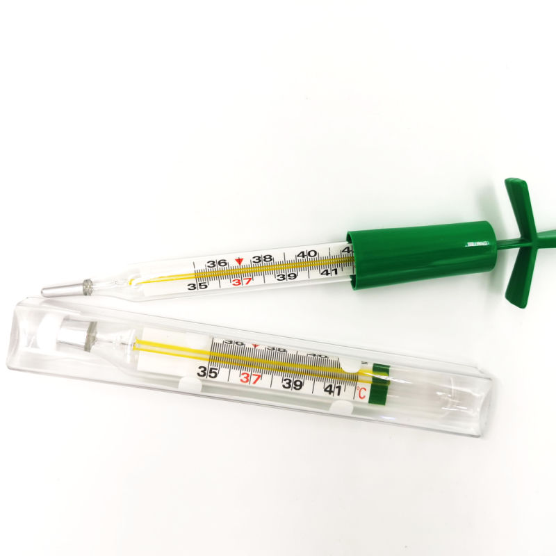 Clinical Thermometer Mercury Glass Thermometer No Mercury Product