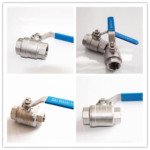 Stainless Steel 2PC Spring Thread Check Valve
