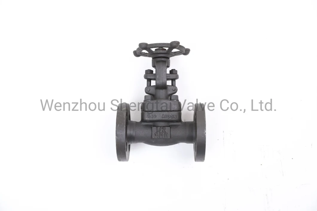 API Integral Flange Wedge Gate Carbon Steel Forged Steel Stainless Steel Gate Valve (Z41H-300LB-DN25)