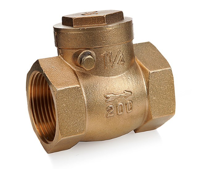 Power Plant-Valve/Check Valve/Non-Return Valve