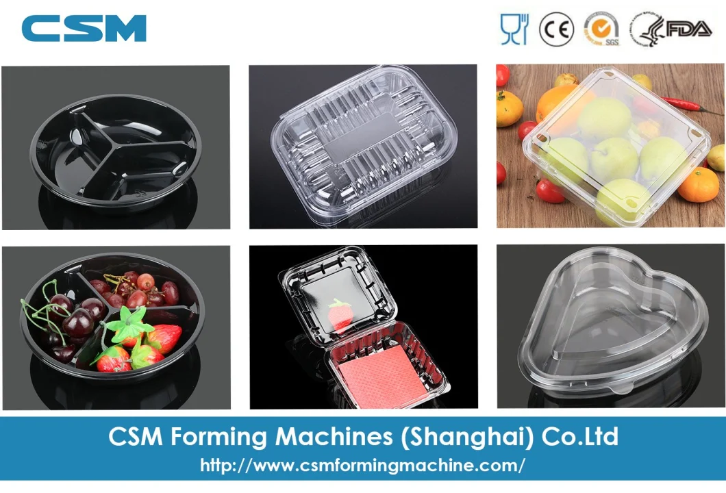 Pet Fruit Box Thermoforming Machine Three Station Automatic Vacuum Plastic Packaging Forming Machinery
