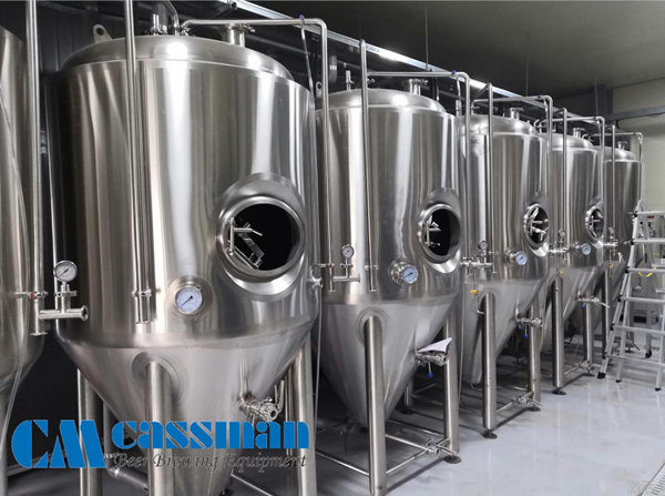 Cassman Factory Supplied SUS304 1000L Whirlpool Tank with Steam Jacket