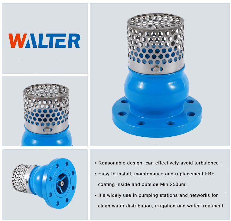 Factory Price Filter Check Valve Ductile Iron Foot Valve with Screen