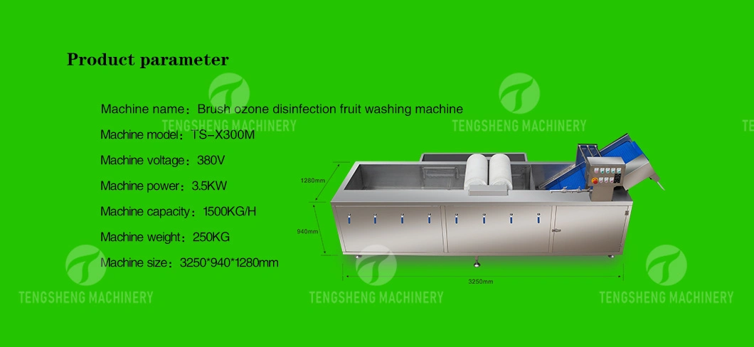 Multifunction Fruit and Vegetables Bubble Washer Fruit and Vegetable Washing Machine (TS-X300M)