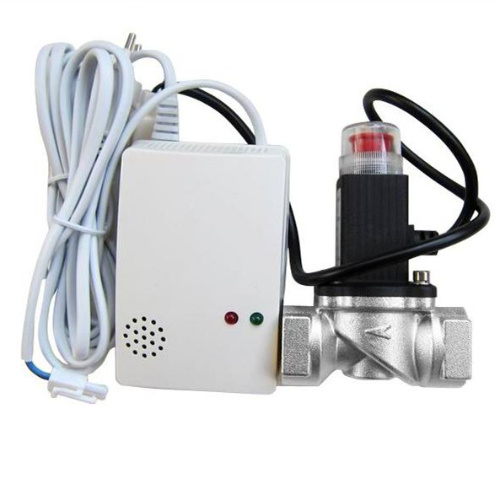 Combustible Gas Alarm Detector with Gas Shut-off Valve