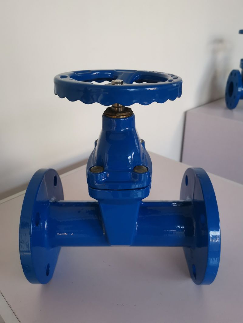 Resilient Seated Non-Rising Stem Gate Valve F5