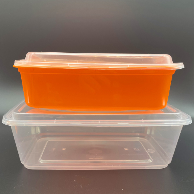 Eco-Friendly Plastic Fruit Container Lunch Box Disposable PP Plastic Food Container