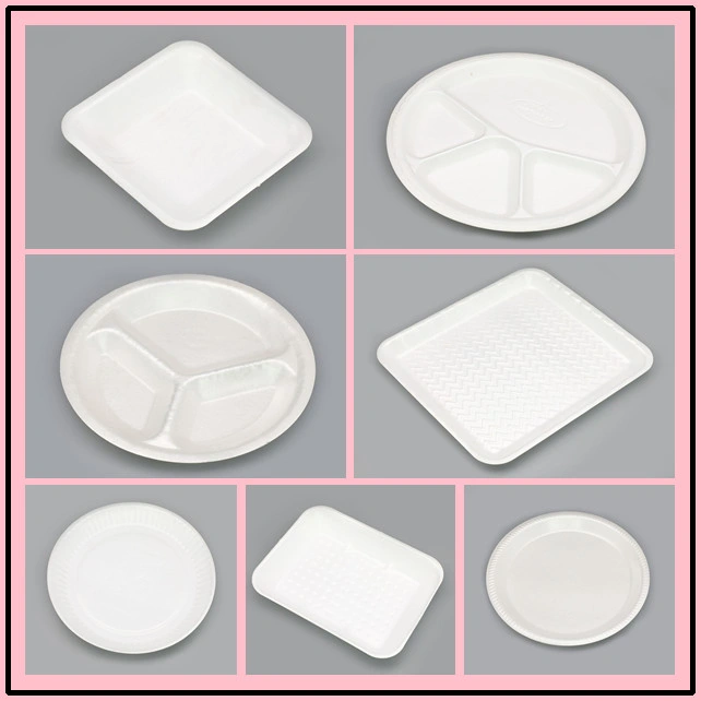 PS Disposable Foam White Styrofoam Food Containers Plate Tray Box Production Machine Line