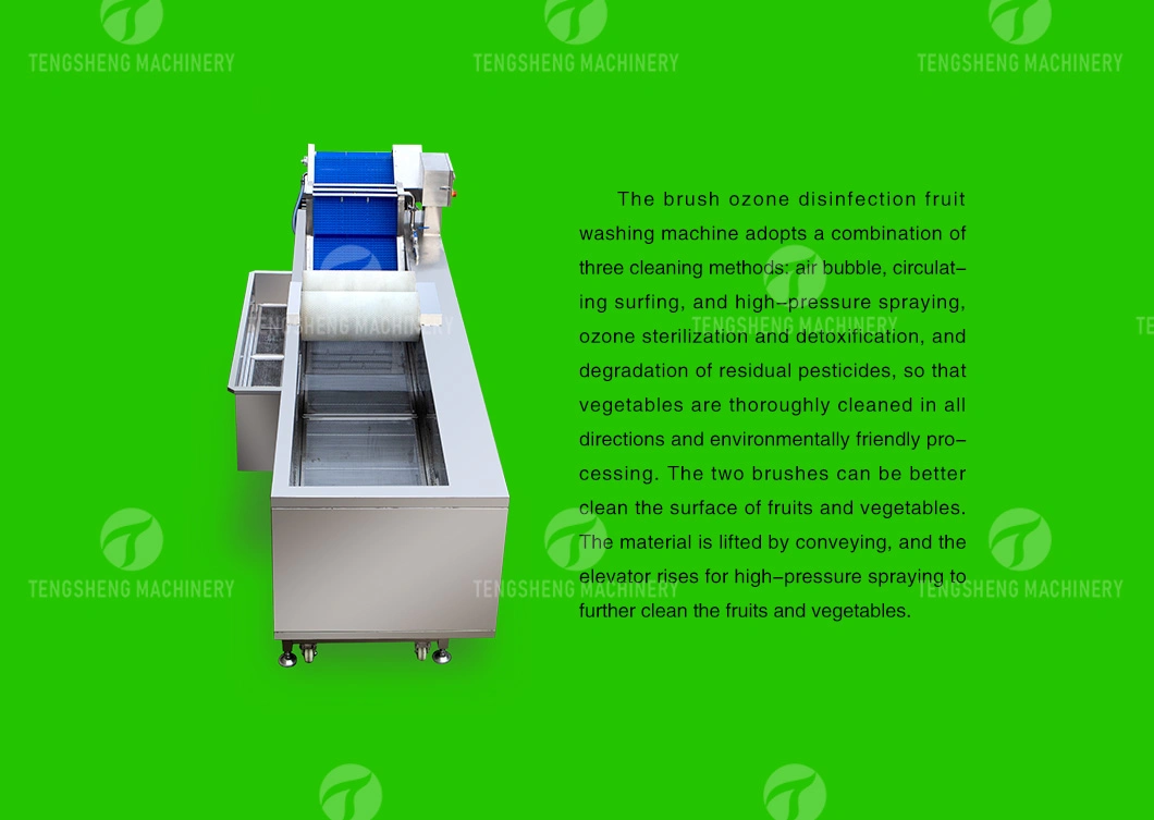 Multifunction Fruit and Vegetables Bubble Washer Fruit and Vegetable Washing Machine (TS-X300M)