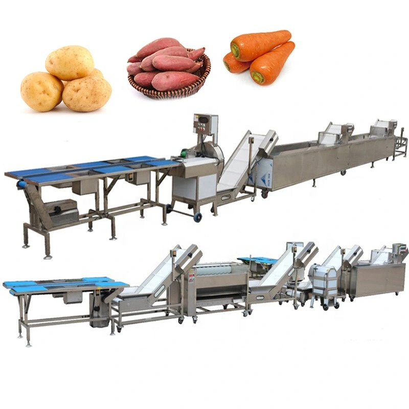 Potato Carrot Onion Washing Peeling Machine Fruit Vegetable Brush Washer Washing Production Line