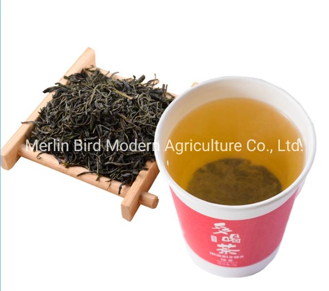 Factory Sell Natural Organic Black Tea for Business Reception