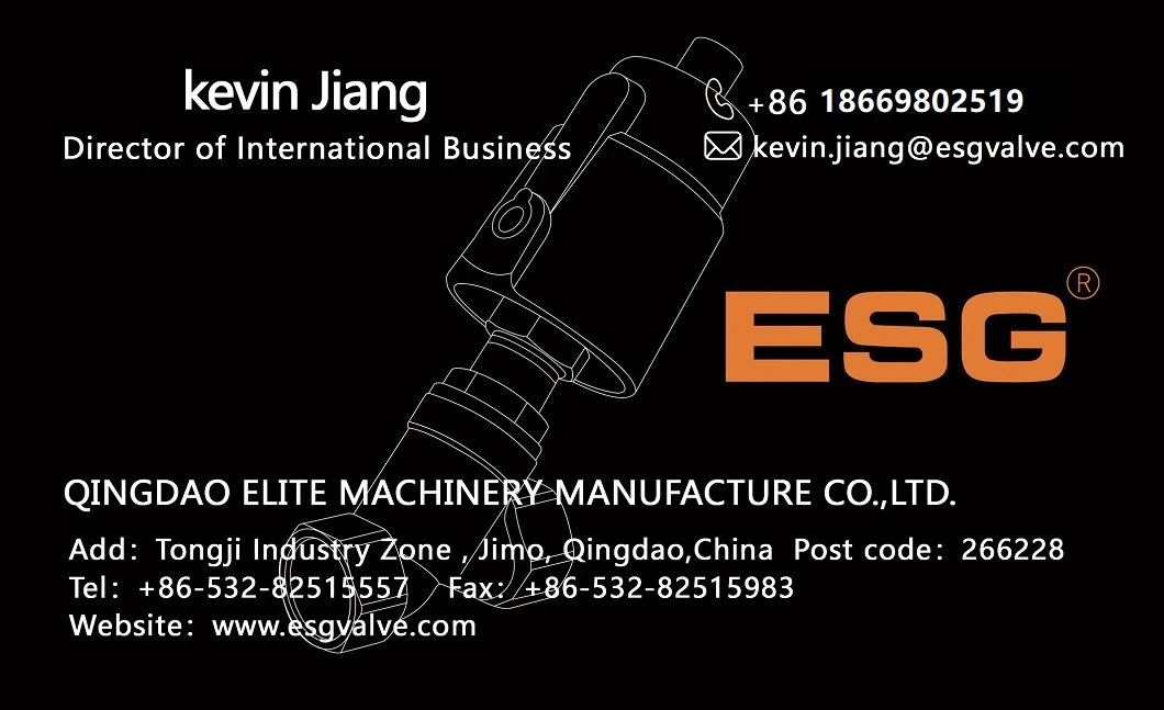 Esg 100 Series Thread Stainless Steel Proportional Angle Seat Flow Control Valve