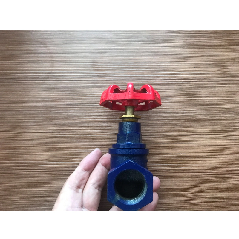 Small Cast Iron Inside Thread End Pn10/16 Ductile Iron Globe Valve Plastic Ball Valve Check Valve Pneumatic Butterfly Valve