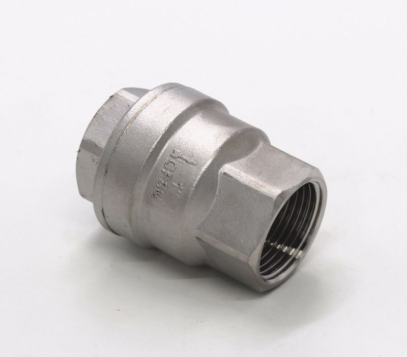 1000 Wog BSPT 1" DN25 Stainless Steel SS316 with Thread Spring Lift Check Valve