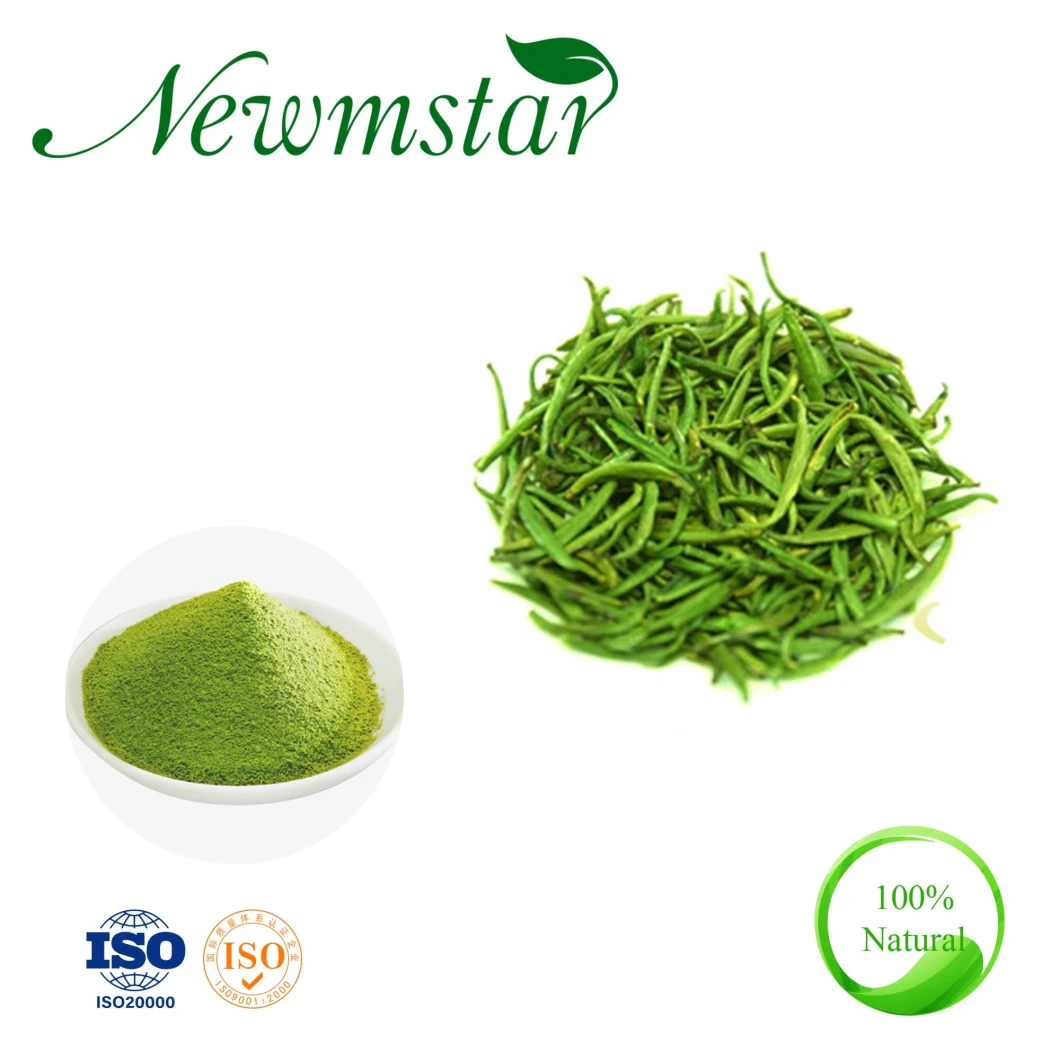 Vietnam Organic Cultivation Matcha Green Tea Extract Powder