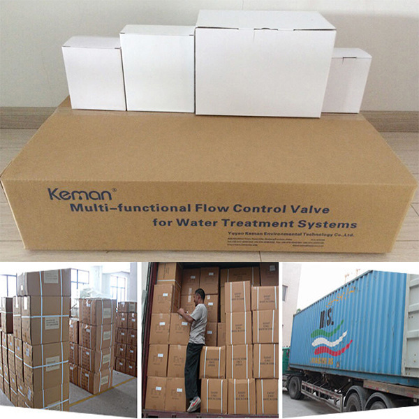 Water Filter Flow Control Valve/Water Softener Control Valves / Auto Softener Valve