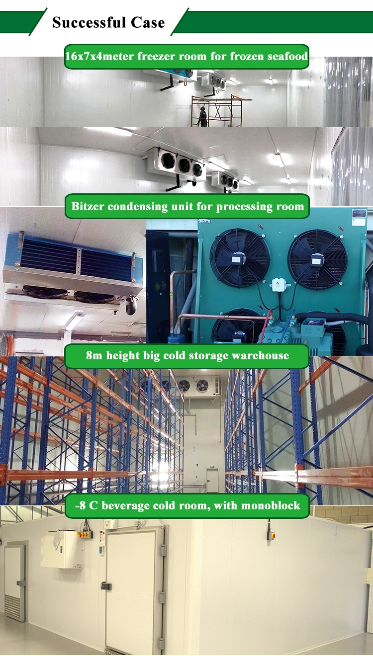 Commercial Fresh Vegetable Coolers Bitter Melon Meat Shippng Freezer Container Cold Storage Greenwood Chill Room Freezer