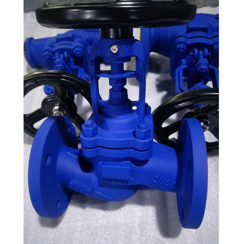 BS/DIN/ANSI/API/GOST Cast Iron Flanged Type RF Bellows Globe Valve Pn16 API Globe Valve Cast Iron Globe Valve