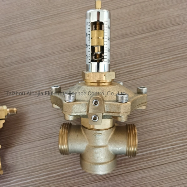 DN15 to DN 50 Automatic Brass Differential Pressure Control Valve