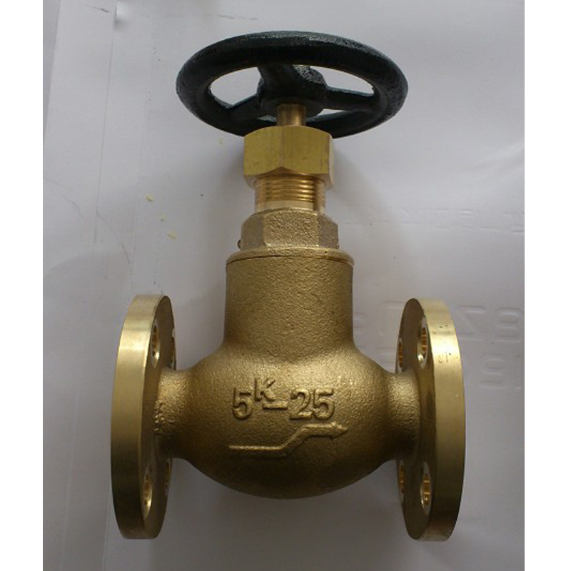 JIS Carbon Steel Bronze Flanged End Nozzle Check Valve Globe Valve Wafer Type Butterfly Valve
