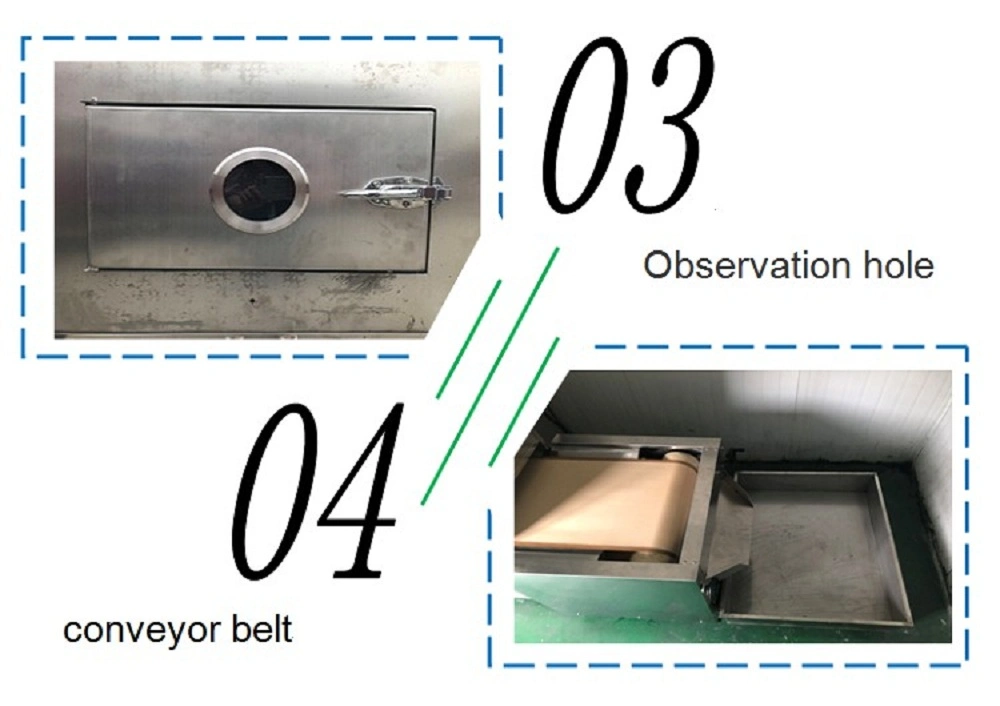 Vegetable Dehydrator Cassava Dryer Microwave Vacuum Oven Nut Food Drying Machine Spices Herbs Dryer