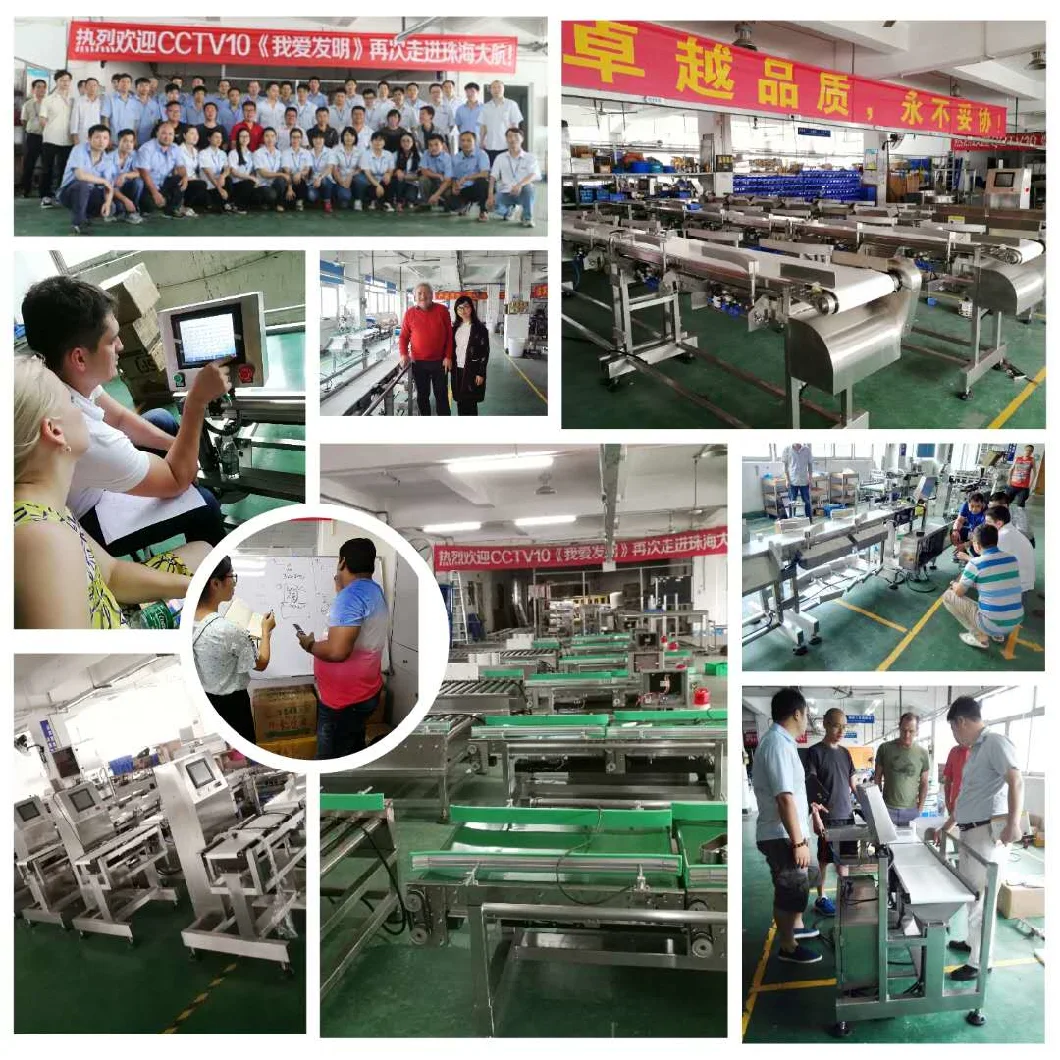 Bags and Boxes Missing Part Checking Solution Automatic Checkweigher for Food Production Line