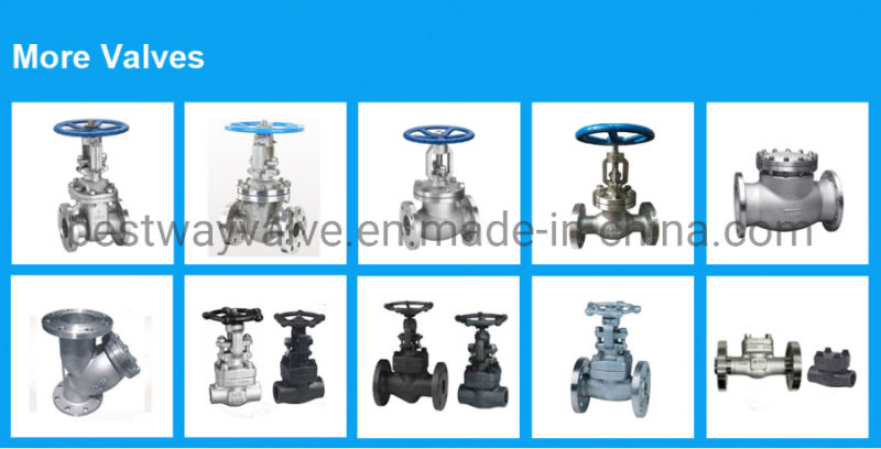 800lb A105n Socket Welding Forged Steel Globe Valve