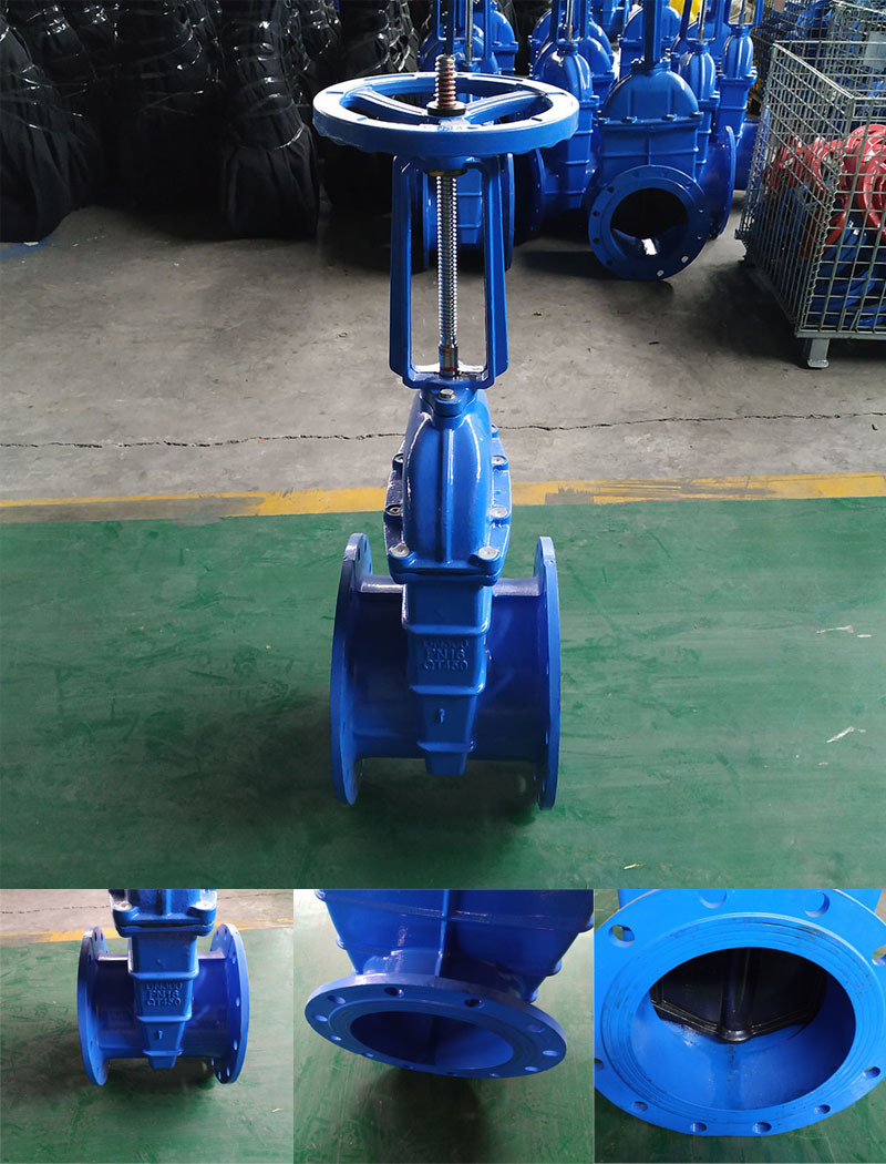 BS 5163 Pn16 Cast Iron Rising Spindle Gate Valve