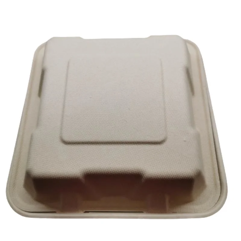 Hot Food Disposable Lunch Box Takeaway Customize Packing Box