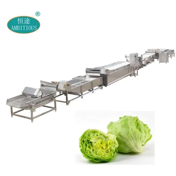 Lettuce Processing Line Salad Lettuce Machine
