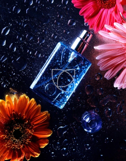 High Quality Jasmine Essence Use for Ointment Frost Jasmine Fragrance Lady Perfume