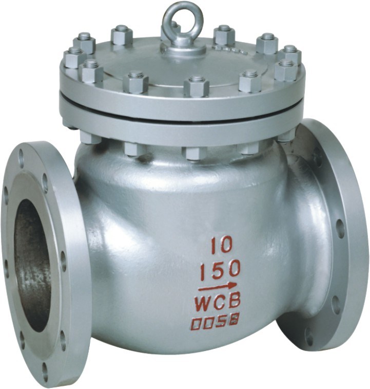 Stainless Steel Swing Lifting Steam Check Valve