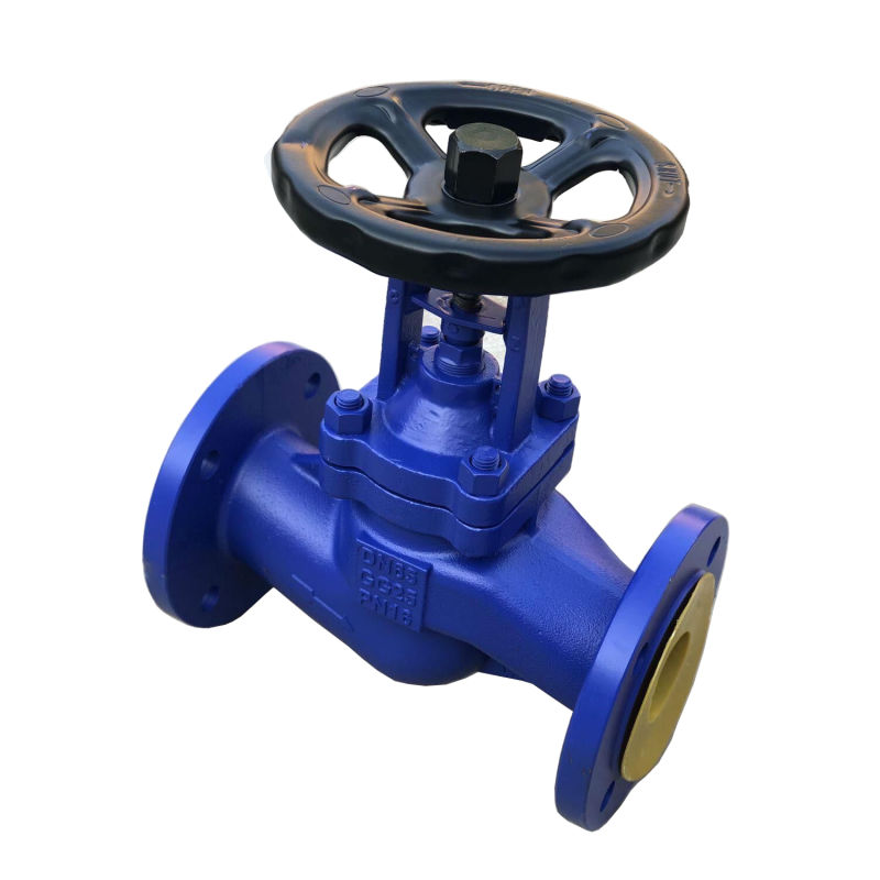 BS/DIN/ANSI/API/GOST Cast Iron Flanged Type RF Bellows Globe Valve Pn16 API Globe Valve Cast Iron Globe Valve