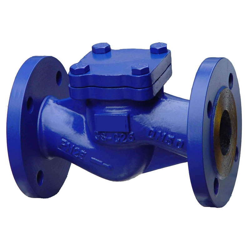 Cast Steel Stainless Steel Valve API Valve 150lb Lift Flange Check Valve