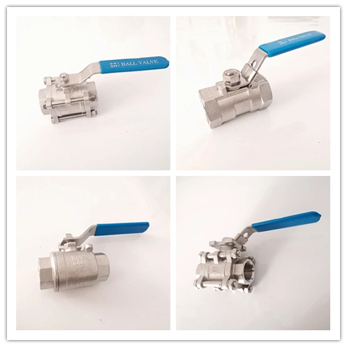 Stainless Steel 2PC Spring Thread Check Valve