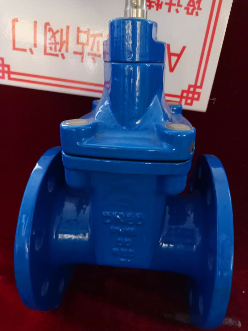 Pn16 API600 Soft Seal No-Rising Gate Valve Sluice Valve Water Gate Vlave