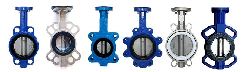 Metal Check Valves Ductile Pair of Clamping Check Valves to Prevent Backflow