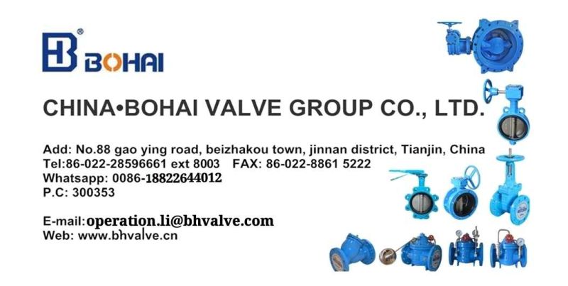 Rising Stem Resilient Seat Flanged Carbon Steel Gate Valve