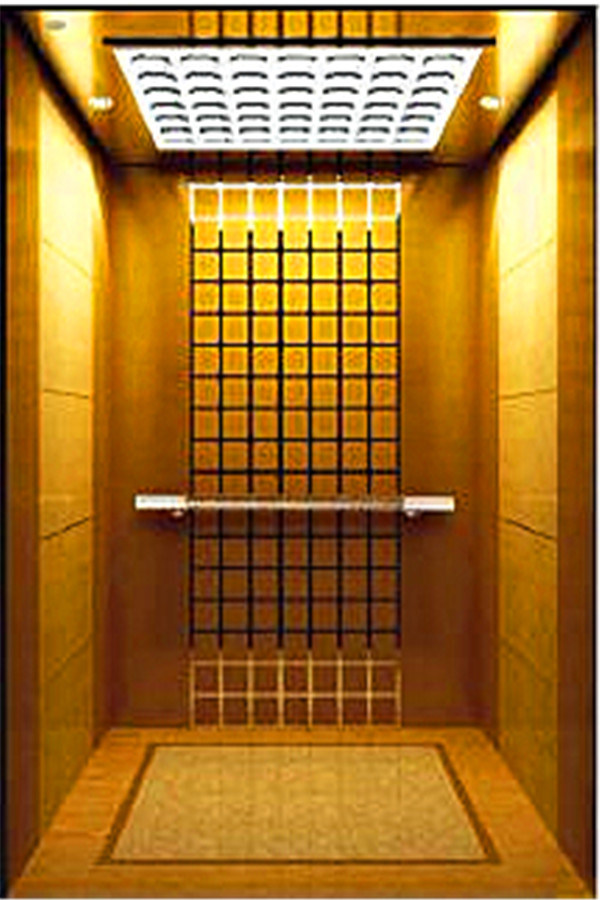 APSL 450kgs Straight Fractional Door Right Angle open elevator Lift