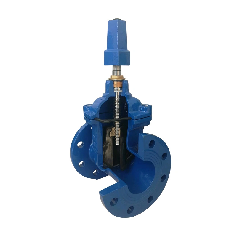 GOST BS5163 DIN F4 F5 Gate Valve Non-Rising/Rising Stem Resilient Seated Gate Valve