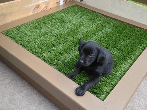 Residential Green-R Synthetic Turf Artificial Grass Pet and Children Friendly