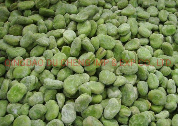 Top Grade Dry Fava Beans / Dry Yellow Broad Beans/ Frozen Green Broad Bean