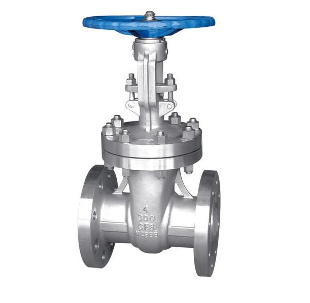 Stainless Steel/Carbon Steel RF Flange Globe Valve