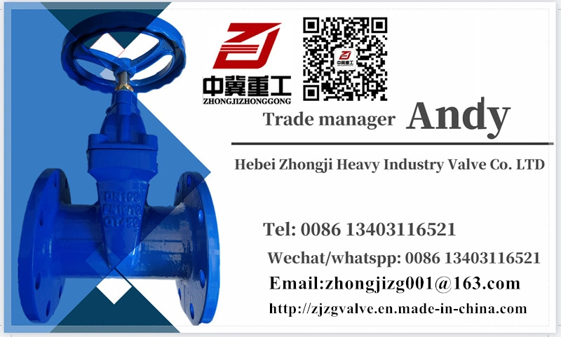 Pn10/Pn16 Cast Iron Ductile Iron Di Groove Butterfly Valve with Lever ANSI DIN BS JIS Globe Valve Gate Valve Check Valve/Non Returned Valve