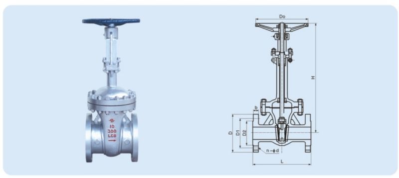 DN50-DN600 Low Temperature Cryogenic Flange Lcb Gate Valve