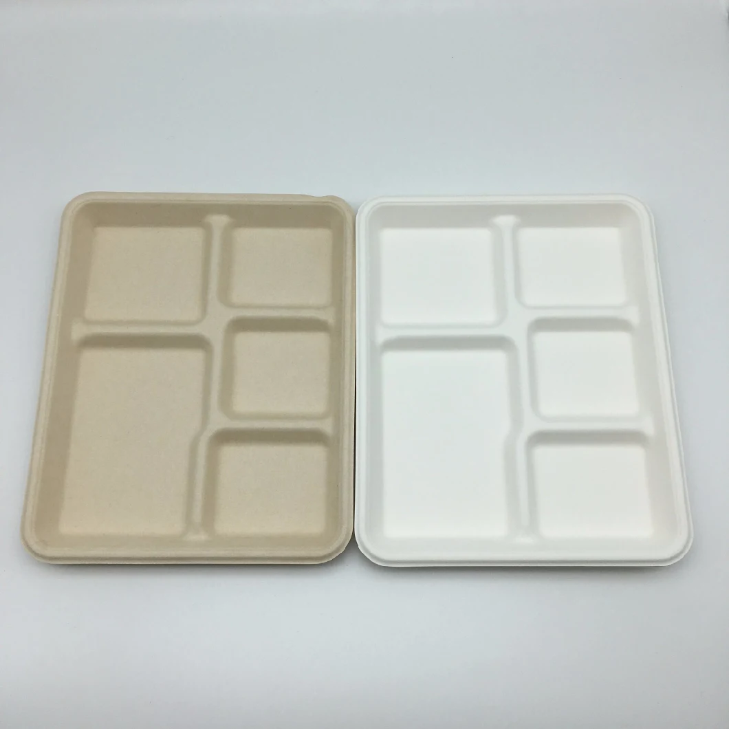 Disposable Sugarcane Lunch Box, Degradable Disposable Lunch Box Tool Disposable Dinner Plate