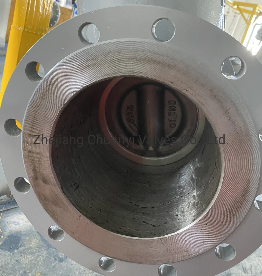 Flanged Connection OEM Carbon Steel Stainless Steel Wedge 300lb 8