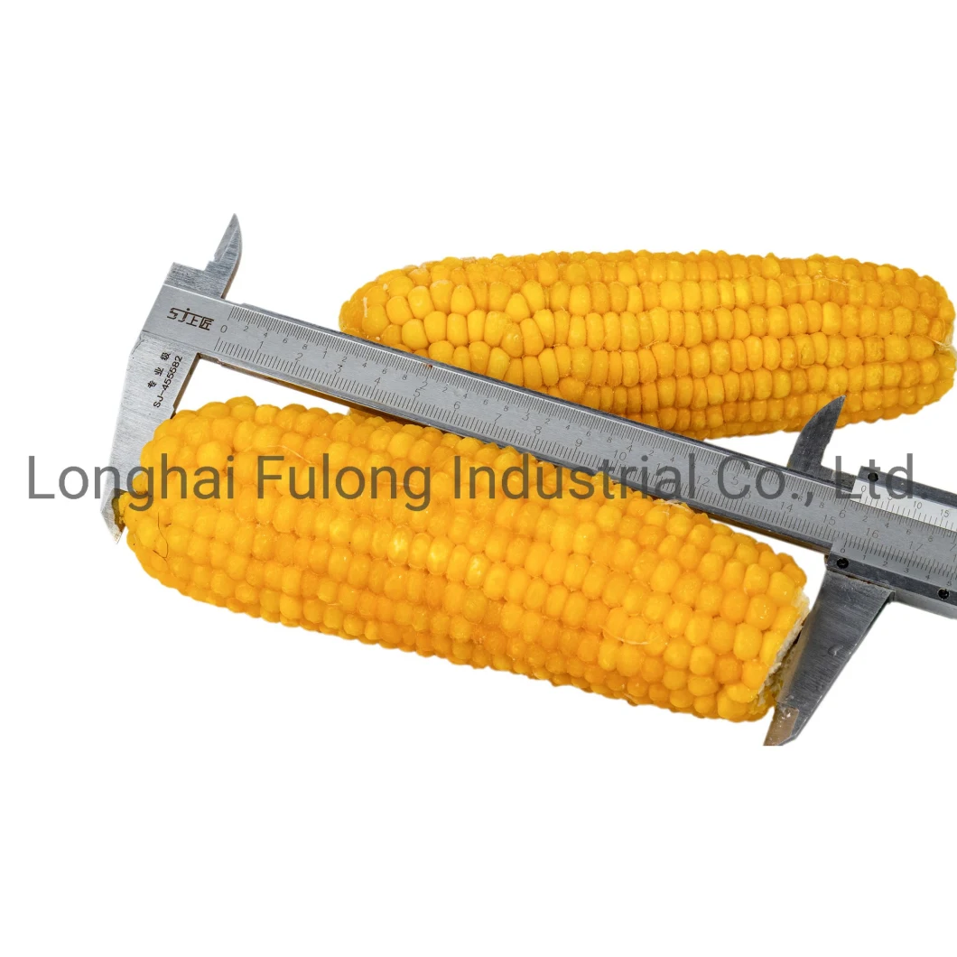 High Quality Good Price for IQF Sweet Corn IQF Sweet Corn Cut