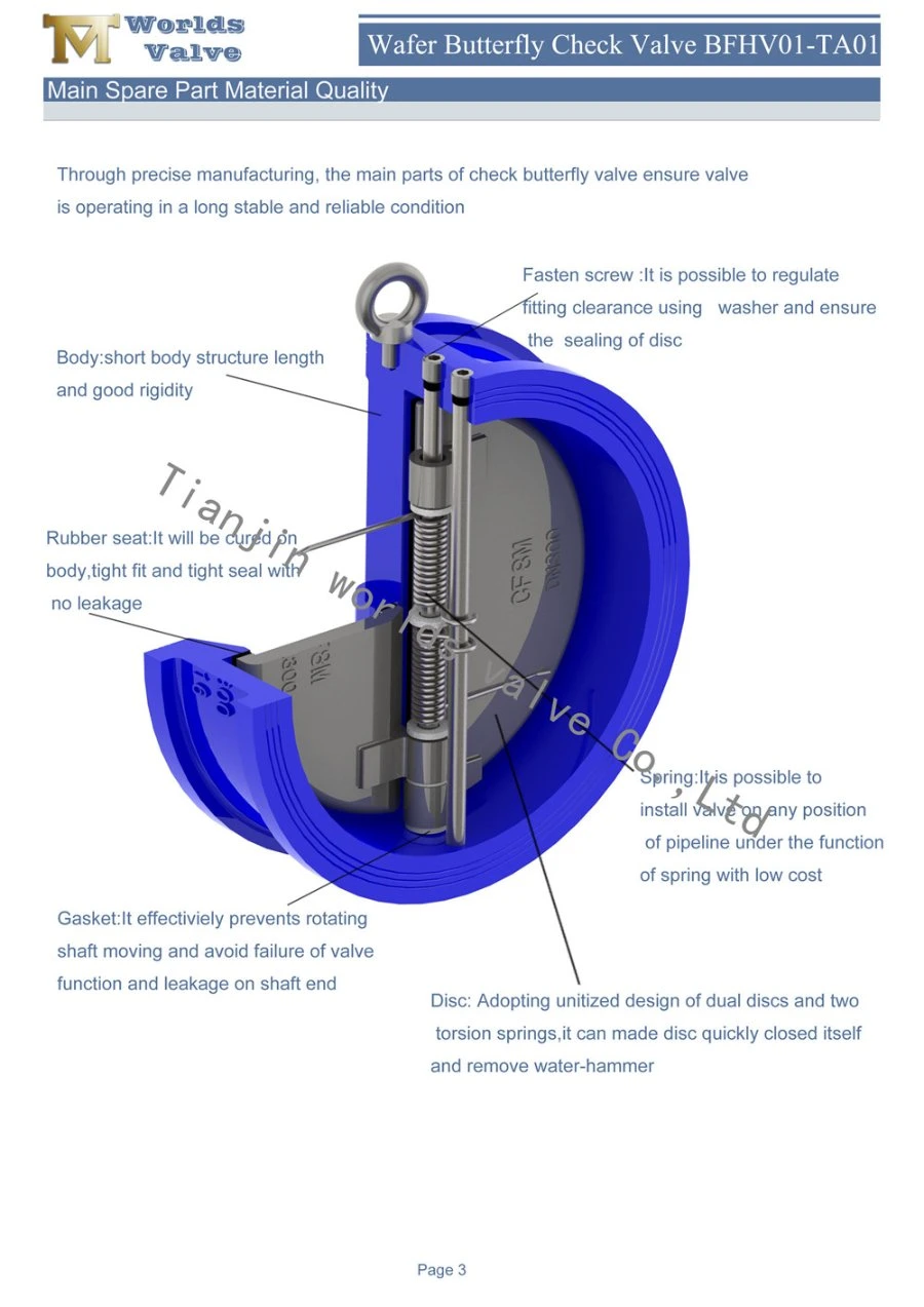 Pn16/Pn10/Class125/Class150 Stainless Steel CF8m Wafer Check Valve Non Return Valve